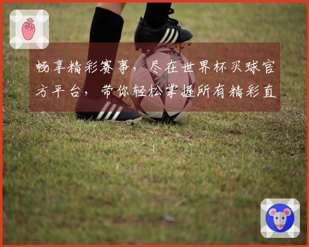 畅享精彩赛事，尽在世界杯买球官方平台，带你轻松掌握所有精彩直播内容