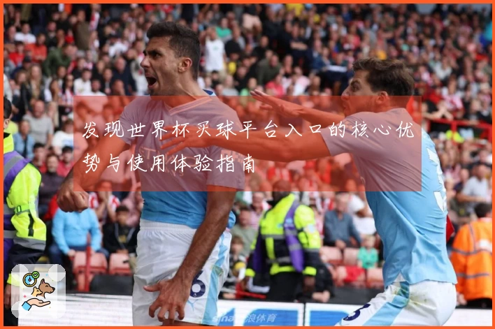 发现世界杯买球平台入口的核心优势与使用体验指南